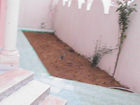 The garden quoted right